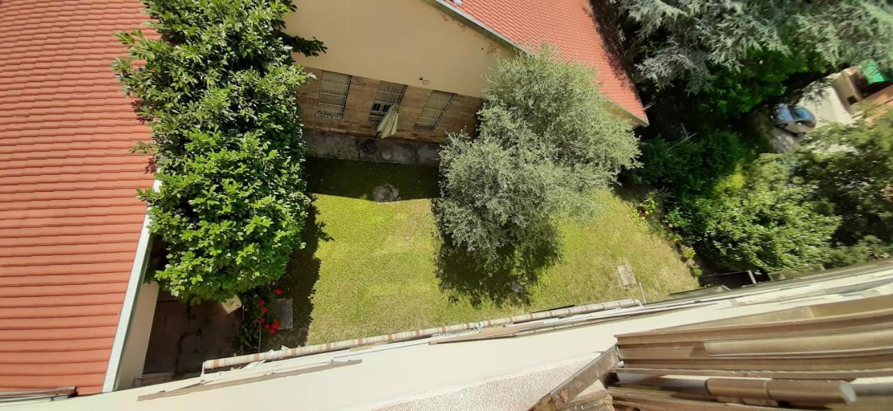 Stephy House *